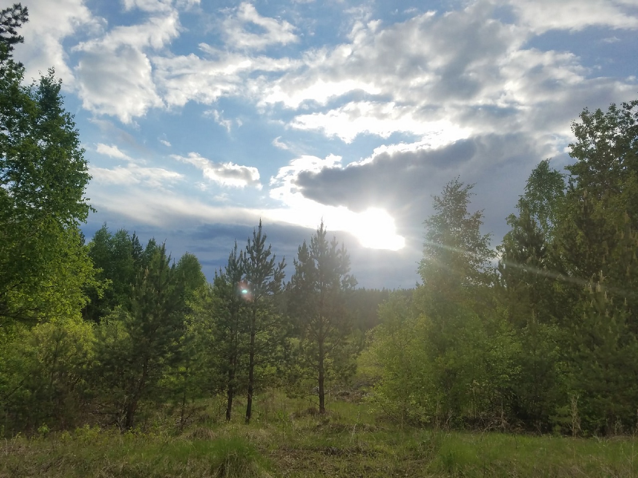 Евгений Куйвашев принял решение об отмене противопожарного режима